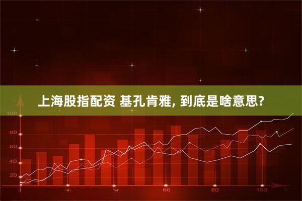上海股指配资 基孔肯雅, 到底是啥意思?