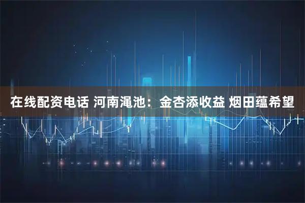 在线配资电话 河南渑池：金杏添收益 烟田蕴希望